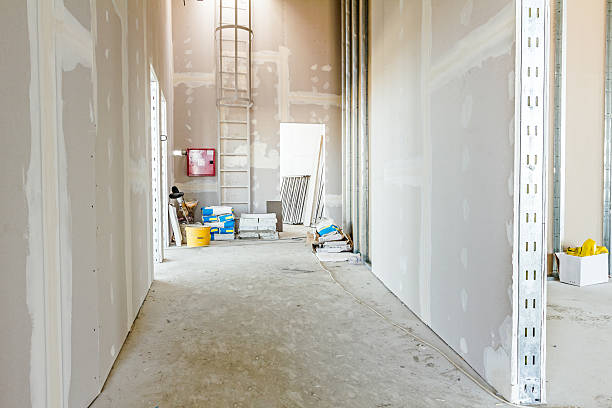 Best Environmental Consulting for Mold Prevention  in Rancho Alegre, TX